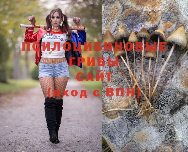 винт Алексеевка