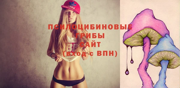 винт Алексеевка