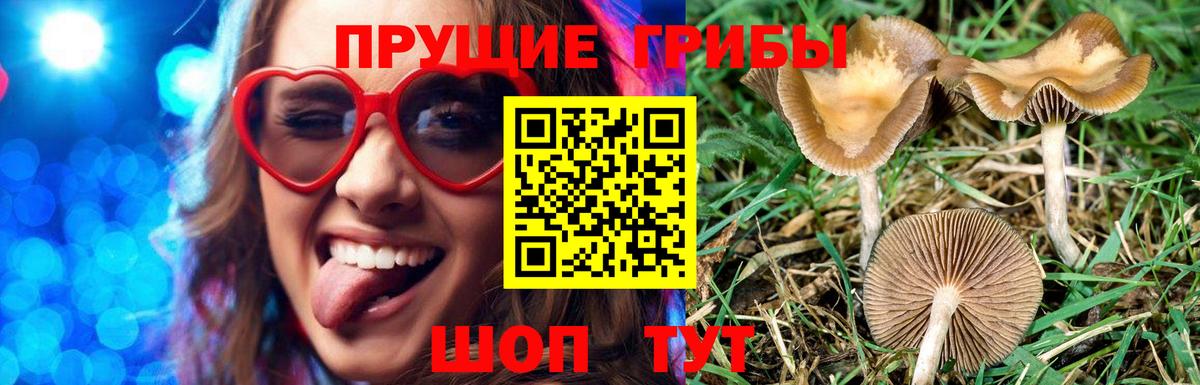 Галлюциногенные грибы Psilocybine cubensis  Вход с VPN  цена   Узловая 